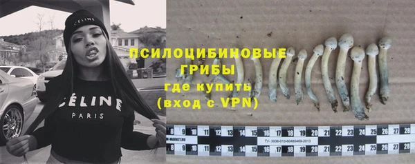 ALPHA PVP Алексеевка