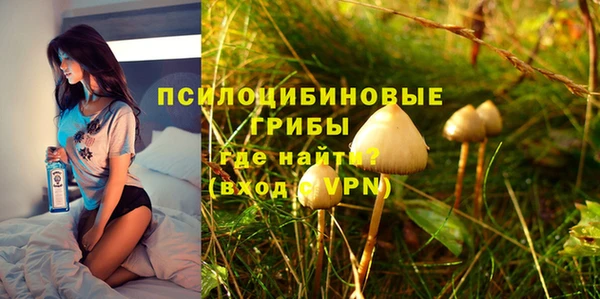 прущие крисы Алзамай